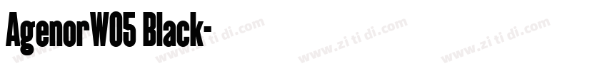 AgenorW05 Black字体转换